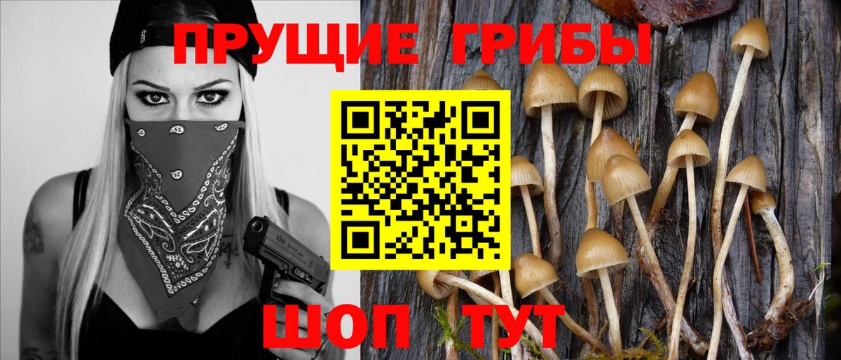 Галлюциногенные грибы прущие грибы Томск